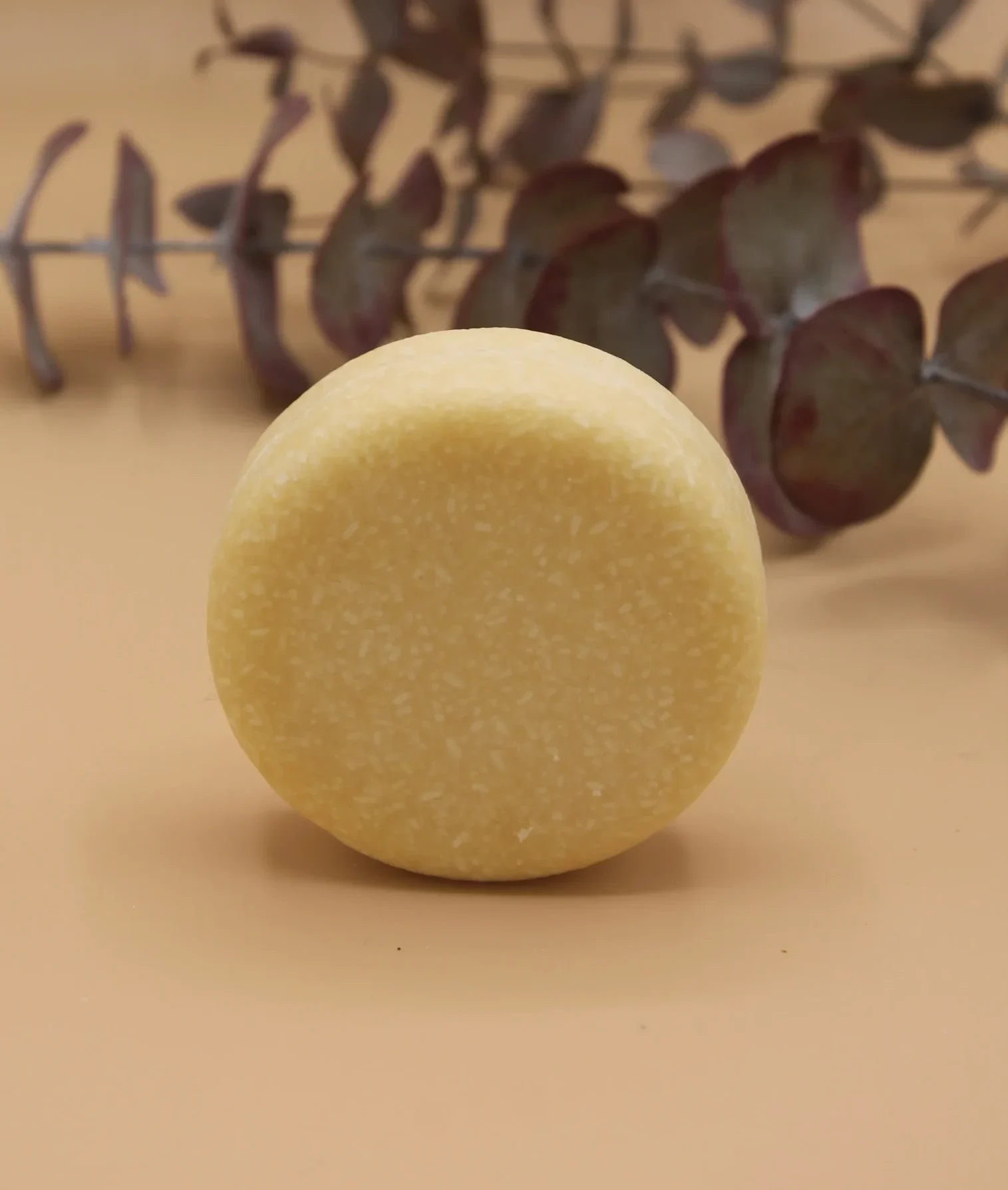 champú fortaleza arroz